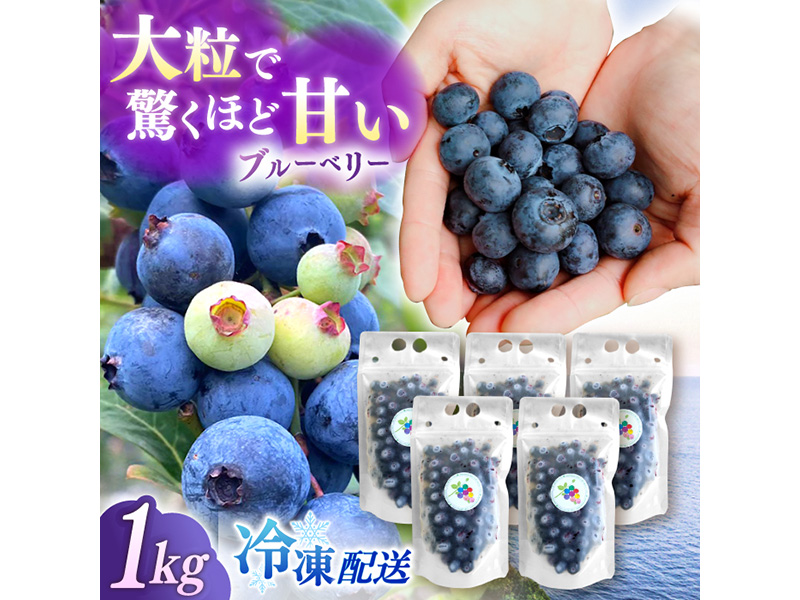 【新鮮】摘みたて！冷凍ブルーベリー 1.0kg【いきつきブルーベリー園 moon berry’s kitchen】