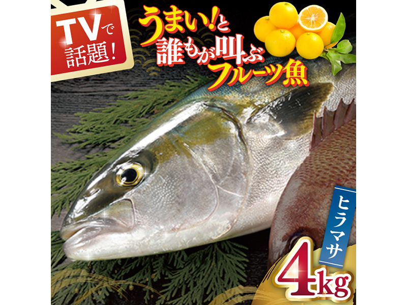 【一度食べるとやみつきに！最高のお魚をご用意しました】平戸なつ香ヒラス(ヒラマサ) 約4kg【坂野水産】