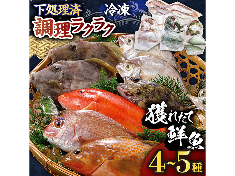 【平戸市場直送】旬の獲れたて鮮魚（冷凍）＜4〜5種類＞【ひらど新鮮市場】