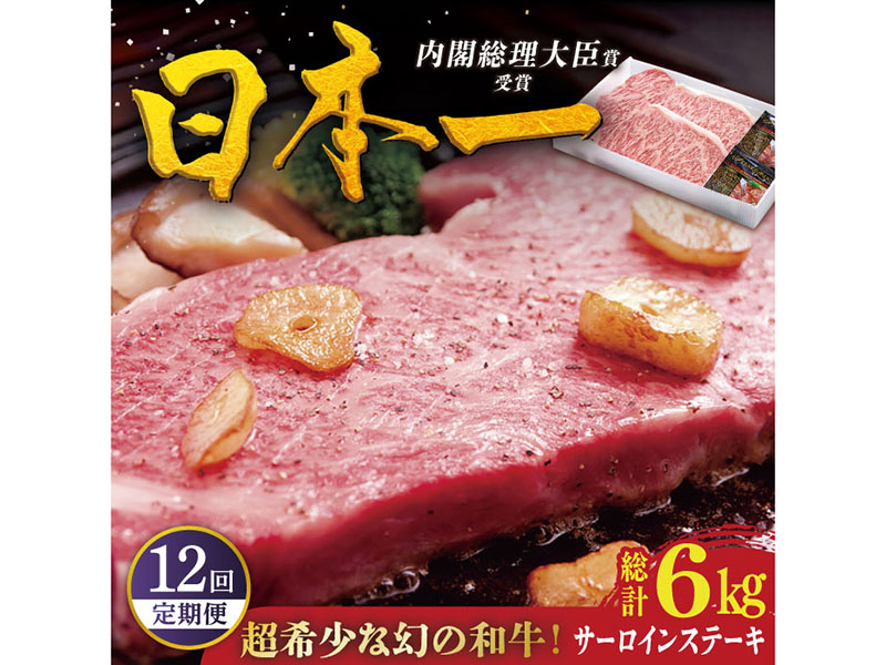 【全12回定期便】特選平戸和牛サーロインステーキ 計6kg（約250g×2枚/回）【萩原食肉産業】