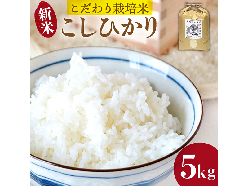 【令和５年度・平戸産 新米】こだわり栽培米 ( こしひかり 1袋/5kg)【IMFホールディングス】