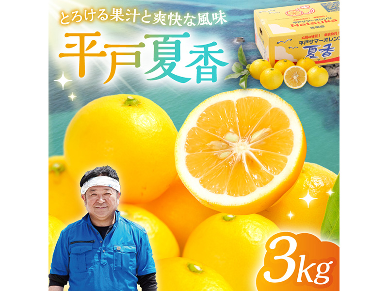 ≪先行予約≫【とろける果汁と爽快な風味】平戸夏香 3kg（16個〜25個）【善果園】