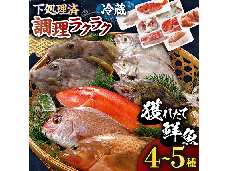 【平戸市場直送】旬の獲れたて鮮魚（冷蔵）＜4〜5種＞【ひらど新鮮市場】