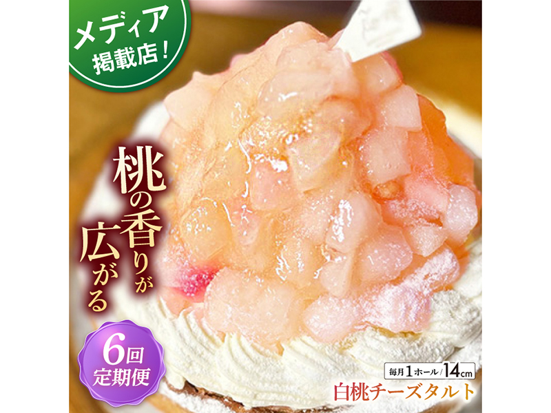 【全6回定期便】 白桃チーズタルト1ホール(14cm)【心優　−Cotoyu Sweets−】