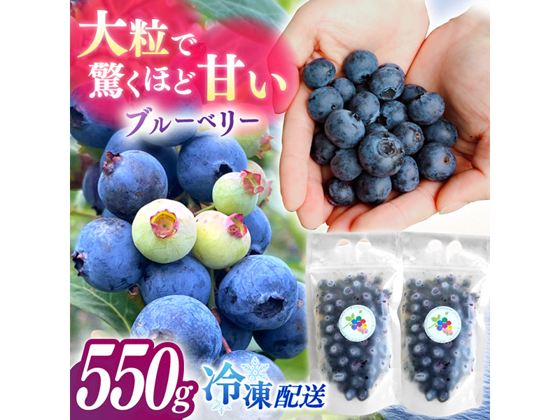 【厳選】高品質へのこだわり 冷凍ブルーベリー 550g【いきつきブルーベリー園 moon berry’s kitchen】
