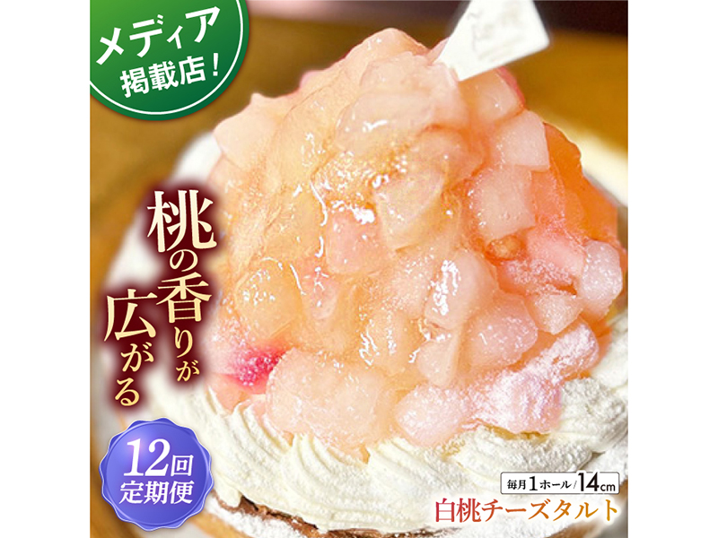 【全12回定期便】白桃チーズタルト1ホール(14cm)【心優　−Cotoyu Sweets−】