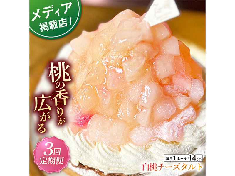 【全3回定期便】白桃チーズタルト1ホール(14cm)【心優　−Cotoyu Sweets−】